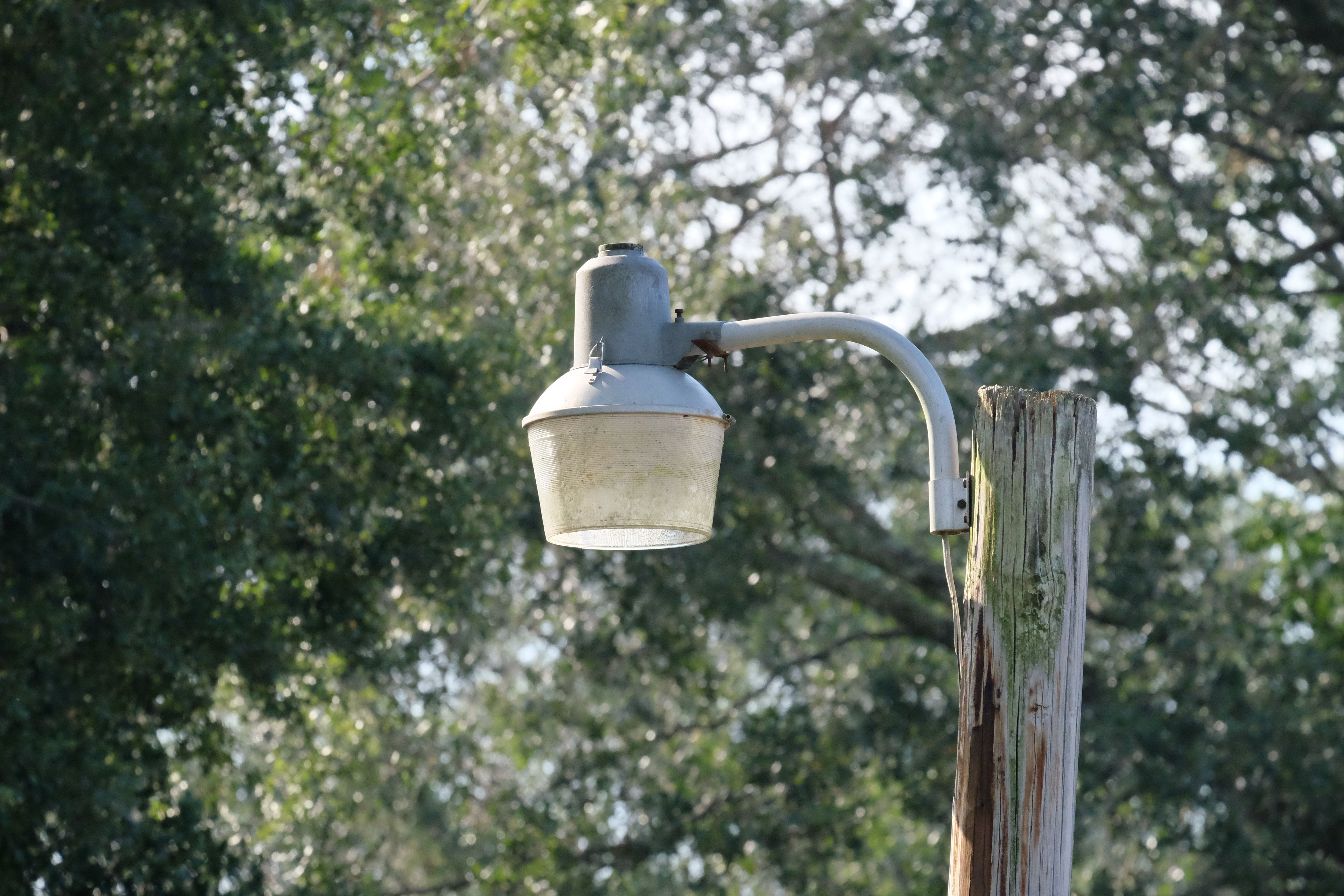 mercury yard light